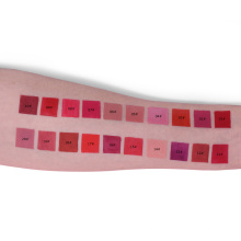 Private Label 20 Colors High Pigmented Matte Lipgloss No Logo Liquid Lipstick